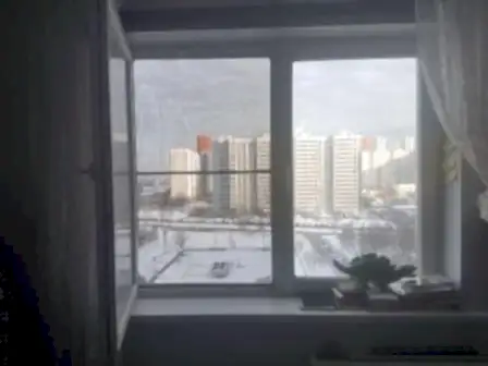 москитная сетка антикошка на окне ПВХ